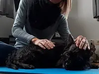 ETCK Energetische Tiertherapien Corinne Kuss – Cliquez pour agrandir l’image 4 dans une Lightbox