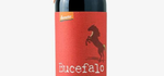 Vino Bucefalo