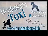 Hundesalon Toxi Horgen – Cliquez pour agrandir l’image 1 dans une Lightbox