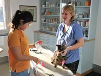 Tierarztpraxis Rohner AG - Klicken Sie, um das Bild 25 in einer Lightbox vergrössert darzustellen