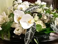 Blumen Haueter - Klicken Sie, um das Bild 12 in einer Lightbox vergrössert darzustellen