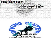 Momo Factory Gym Sagl - cliccare per ingrandire l’immagine 1 in una lightbox