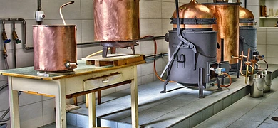 Distillerie Absinthe Artemisia - Bugnon & Cie