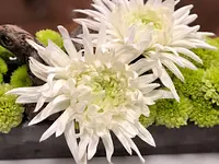 Blumen Kaspar AG - Klicken Sie, um das Bild 2 in einer Lightbox vergrössert darzustellen
