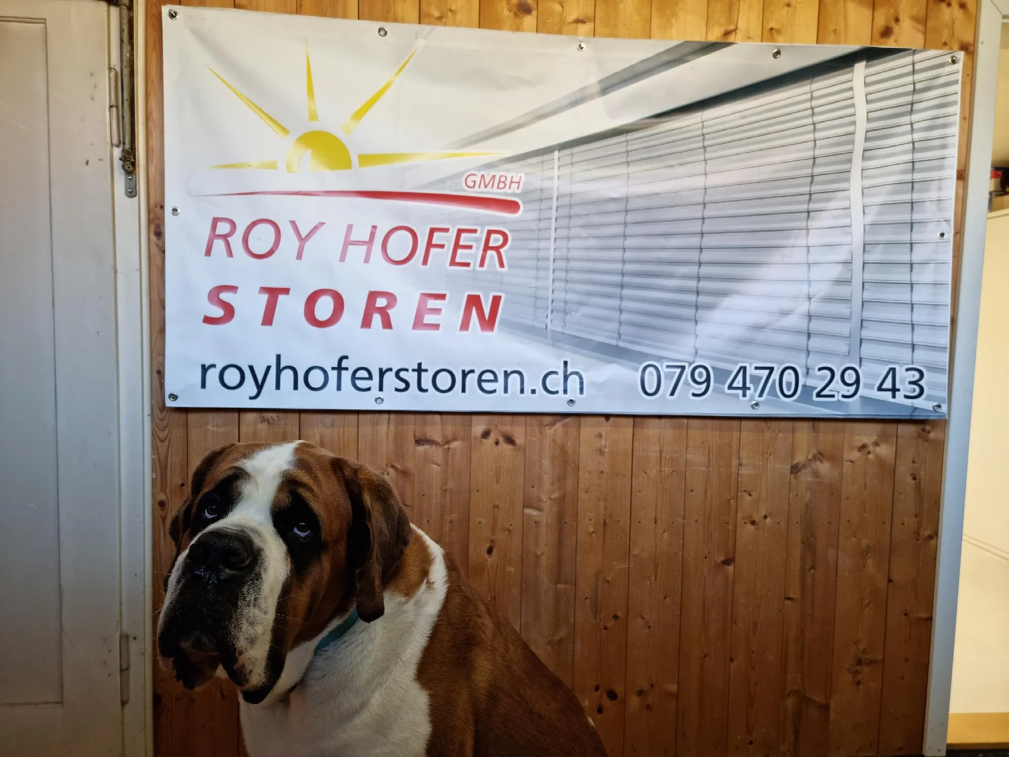 Roy Hofer Storen GmbH