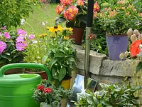 Flükiger Gartenbau - Klicken Sie, um das Bild 5 in einer Lightbox vergrössert darzustellen