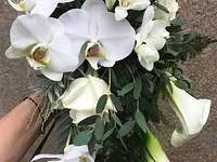 Fleurs André – Cliquez pour agrandir l’image 6 dans une Lightbox
