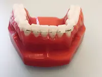 ORTHOLIGHT Orthodontie – click to enlarge the image 5 in a lightbox
