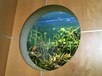 Aquarium-Bassin SARL – Cliquez pour agrandir l’image 17 dans une Lightbox