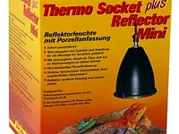 Reptiking GmbH - Klicken Sie, um das Bild 6 in einer Lightbox vergrössert darzustellen