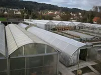 Gärtnerei Egli GmbH - Klicken Sie, um das Bild 1 in einer Lightbox vergrössert darzustellen