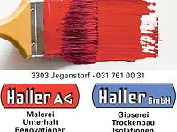 Haller AG / Haller GmbH - Klicken Sie, um das Bild 10 in einer Lightbox vergrössert darzustellen