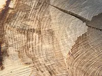 Baumpflege Luisoni GmbH - Klicken Sie, um das Bild 4 in einer Lightbox vergrössert darzustellen