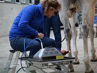 Equine Sports Medicine Services GmbH – click to enlarge the image 6 in a lightbox