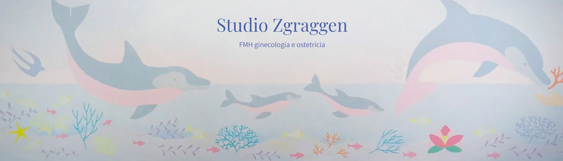 Studio Zgraggen