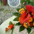 Cagna Fleurs Atelier floral et livraison - Crissier