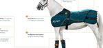 Le Kit BEMER-Veterinary