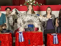 Hundesalon Pet Cut's – click to enlarge the image 9 in a lightbox