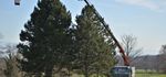 Camion-grue ou grappin