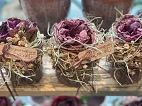 Blumen La Violetta - cliccare per ingrandire l’immagine 11 in una lightbox