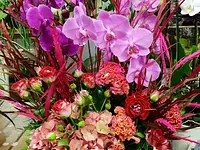 Les fleurs de sakura - cliccare per ingrandire l’immagine 2 in una lightbox