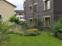 LEDER Garten- + Landschaftsbau - Klicken Sie, um das Bild 18 in einer Lightbox vergrössert darzustellen