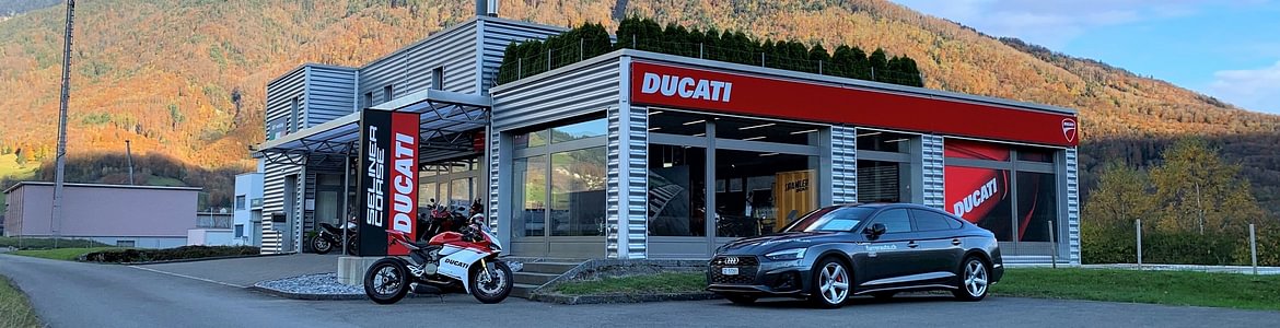 Ducati Seliner Corse