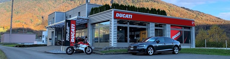 Ducati Seliner Corse