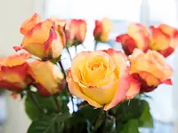 Blumenträff Einsiedeln - Klicken Sie, um das Bild 7 in einer Lightbox vergrössert darzustellen