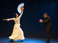 Flamencos en route – Cliquez pour agrandir l’image 3 dans une Lightbox