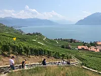 Lavaux Vinorama – click to enlarge the image 7 in a lightbox