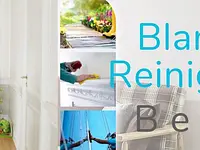 Blanco Reinigung Bern - cliccare per ingrandire l’immagine 6 in una lightbox