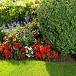 Bont Gartenbau und Gartenpflege, Blumenrabatte