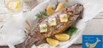 Goldener Fisch
