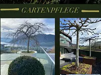 Swiss Green Estate Haljimi - Klicken Sie, um das Bild 3 in einer Lightbox vergrössert darzustellen