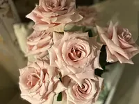 Blumen La Violetta - Klicken Sie, um das Bild 6 in einer Lightbox vergrössert darzustellen