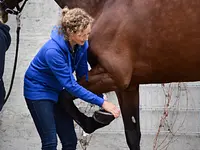 Equine Sports Medicine Services GmbH – click to enlarge the image 25 in a lightbox