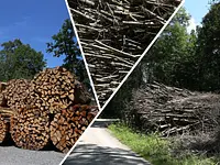 Holzenergie Schweiz - cliccare per ingrandire l’immagine 3 in una lightbox