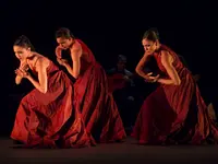 Flamencos en route – Cliquez pour agrandir l’image 4 dans une Lightbox