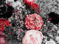 Fleurs@tmosphère - cliccare per ingrandire l’immagine 9 in una lightbox