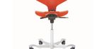 HAG Capisco Puls 8010/8020