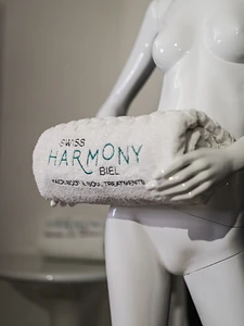 Swiss Harmony Biel GmbH