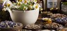Phytotherapeutische Anamnese