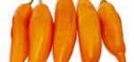 Pepper Aji Amarillo frais 500g