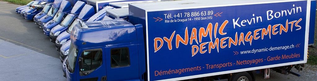 Dynamic Déménagements SA
