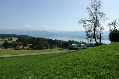 Möbellastwagen mit Anhänger über dem Zürichsee