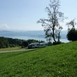 Möbellastwagen mit Anhänger über dem Zürichsee
