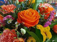 Blumen und Pflanzen – click to enlarge the image 2 in a lightbox