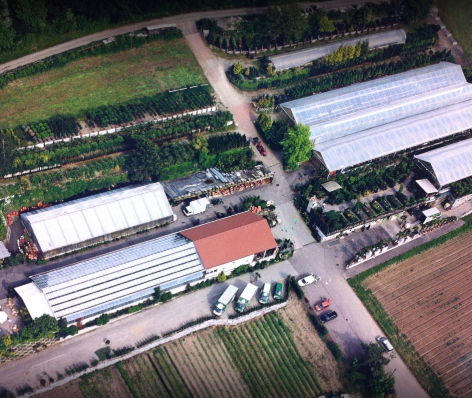 Blumenland Schweiz AG