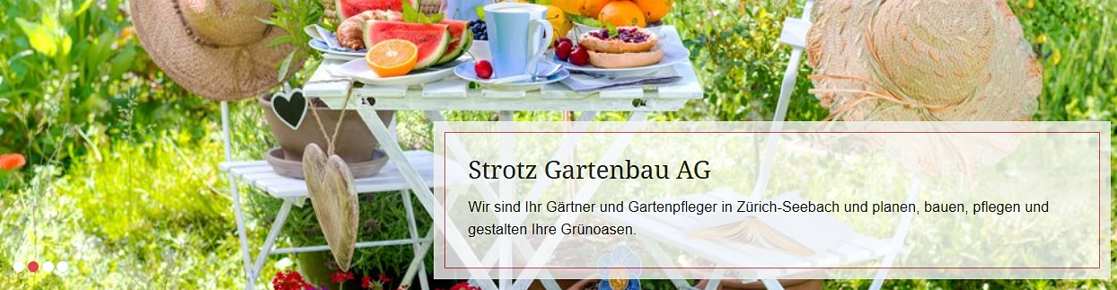 Strotz Gartenbau AG